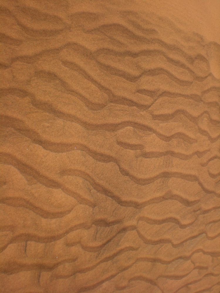 Interpret. Pflastersteine